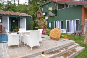 The Jungle Dream World