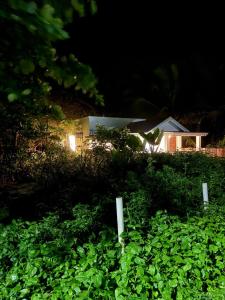 Casa Patron Calicoan