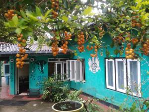 The1964 green paradise hostel