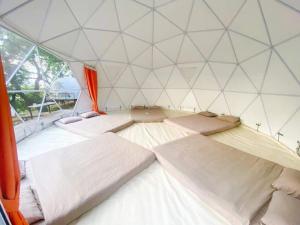 Tropical eglamping