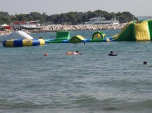 Authentic Istrian Holiday Home for Unforgettable Stays