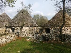 Authentic Istrian Holiday Home for Unforgettable Stays