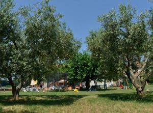 Authentic Istrian Holiday Home for Unforgettable Stays