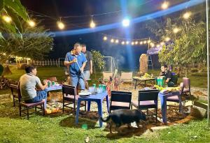 Trang trại Ven Suối 3000m2, Vườn Rau, Hồ Bơi, Thú cưng