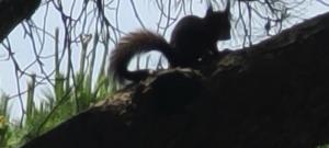 Mazet Domaine des restanques