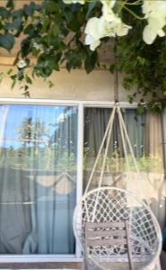 SUMMER STAY A Starlink