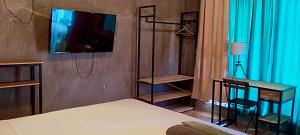 SUMMER STAY A Starlink