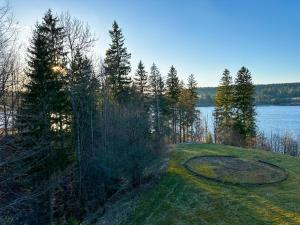 Appartements L-ecrin du Lac St-Point : photos des chambres