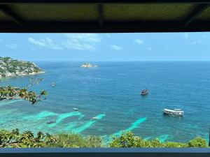 Shark Bay room Turtle