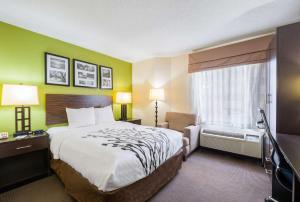 Queen Room - Accessible/Non-Smoking room in Sleep Inn Statesville I-40
