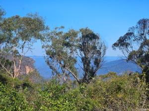 Merveille - Wonder - Ubytování bez kategorie ve městě Wentworth Falls