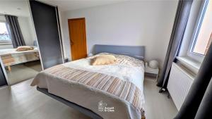 Maisons de vacances Gite Des Oeillets : photos des chambres