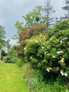 Appartements Chez Juliette countryside and sea near Pornic : photos des chambres