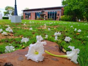 ดิ อัยรารินทร์