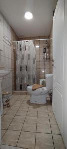 Trikala Apartments 3