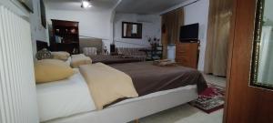 Trikala Apartments 3