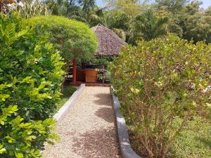One Bed with AC, Gazebo and Pool in Diani