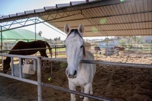 Holos Apartment img90