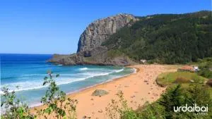 LAGA SURFING IBARRANGELU - Celayetas