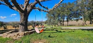 Maisons de vacances Maison calme au coeur des vignes : photos des chambres