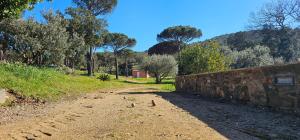 Maisons de vacances Maison calme au coeur des vignes : photos des chambres