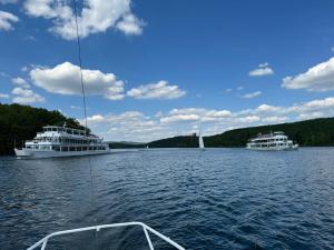 #9 Ommi Kese Drachen See-Suite Sauna Hund