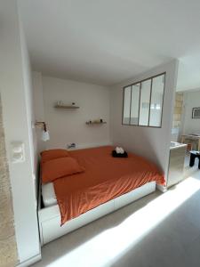 Appartements Studio ultra centre libourne - jacuzzi & videoprojecteur : Appartement 1 Chambre