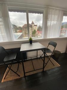 Apartament Noel Sinaia