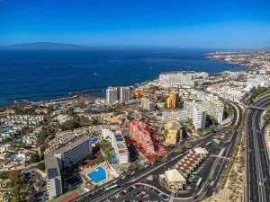 As de Casas - Olympia - Csta Adje