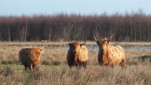 Bed en Breakfast De Boksloot