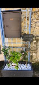 Appartements Maison de village en Provence verte : photos des chambres