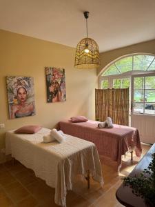 B&B / Chambres d'hotes La villa des figuiers : photos des chambres