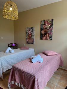 B&B / Chambres d'hotes La villa des figuiers : photos des chambres