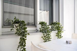 Attiki Sunshine Apartment With Terrace VIPGreece