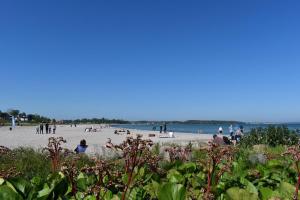Hotel Kerteminde Strand