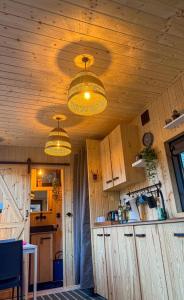 Tiny house cozy retreat