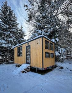 Tiny house cozy retreat