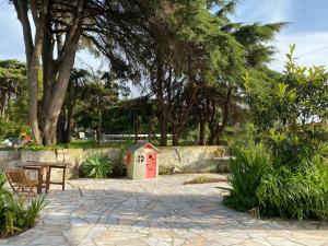 House of green leaves