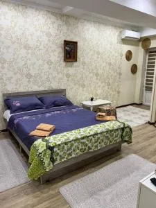 Quiet privacy in the studio - Tokmok