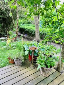Tiny House nah am Nationalpark