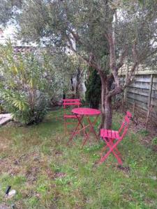 B&B / Chambres d'hotes Maison familiale entouree de verdure pres d-Arcachon, plages et Golfs : photos des chambres