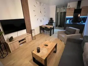 Apartament Studio przy centrum Aquapark - 戈莱纽夫