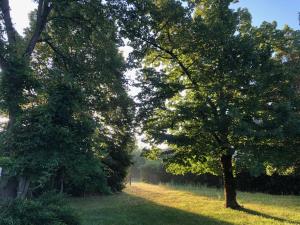 Périgourdine avec piscine, nature & bastides
