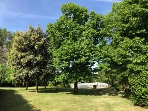 Périgourdine avec piscine, nature & bastides - Saint-Aigne