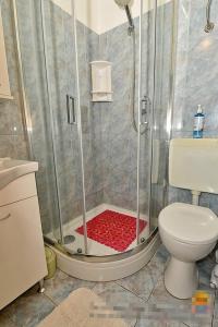 Apartments by the sea Vir - 21836