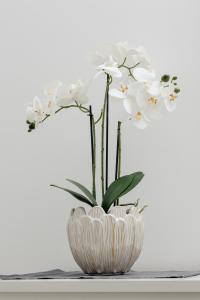 Nowoczesny & Klimatyzowany Apartament z Parkingiem by Noclegi Renters