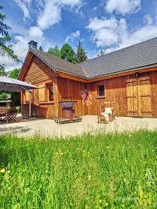 Chalet Les Mélèzes - Chambon-sur-Lac