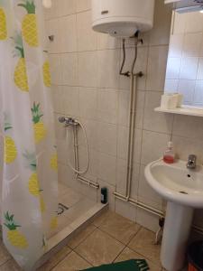 Apartmani Stojičić