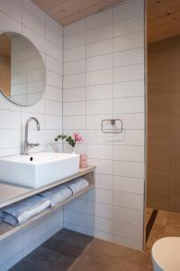 Vakantiehuis aan zee huisdier toegestaan max 2