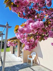 Maisons de vacances Maison de la famille et des amis : photos des chambres